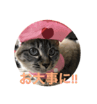 もちゃ 11 ＆友達（個別スタンプ：15）