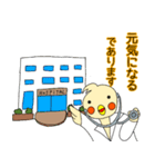 元気になあれ！ドクターオカメです。（個別スタンプ：29）