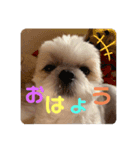 Part(1)（個別スタンプ：1）