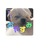 Part(1)（個別スタンプ：2）