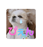 Part(1)（個別スタンプ：3）