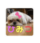 Part(1)（個別スタンプ：4）