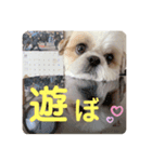 Part(1)（個別スタンプ：5）