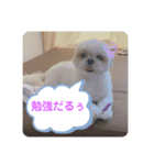 Part(1)（個別スタンプ：6）