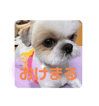 Part(1)（個別スタンプ：7）