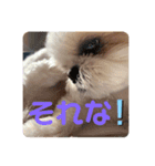 Part(1)（個別スタンプ：8）