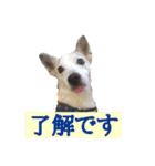 たちみみぷらむ（個別スタンプ：8）