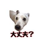 たちみみぷらむ（個別スタンプ：9）