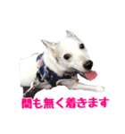 たちみみぷらむ（個別スタンプ：10）