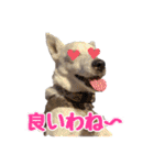 たちみみぷらむ（個別スタンプ：15）