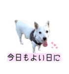 たちみみぷらむ（個別スタンプ：32）
