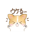 ちわわん こたろう（個別スタンプ：3）