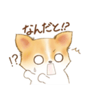 ちわわん こたろう（個別スタンプ：4）