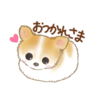 ちわわん こたろう（個別スタンプ：8）