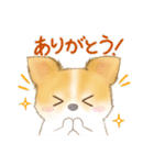 ちわわん こたろう（個別スタンプ：9）