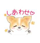 ちわわん こたろう（個別スタンプ：10）