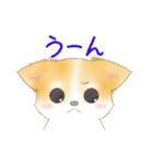 ちわわん こたろう（個別スタンプ：14）