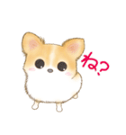 ちわわん こたろう（個別スタンプ：16）