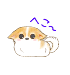 ちわわん こたろう（個別スタンプ：17）
