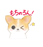 ちわわん こたろう（個別スタンプ：18）