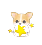 ちわわん こたろう（個別スタンプ：24）
