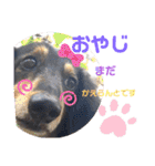 りくタン（個別スタンプ：3）