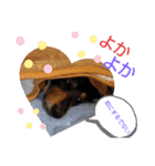 りくタン（個別スタンプ：9）