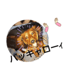 りくタン（個別スタンプ：10）