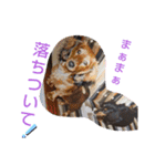 りくタン（個別スタンプ：11）