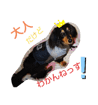 りくタン（個別スタンプ：13）