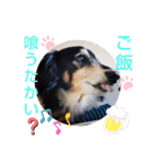 りくタン（個別スタンプ：14）
