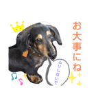 りくタン（個別スタンプ：22）