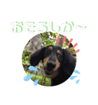 りくタン（個別スタンプ：28）