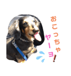 りくタン（個別スタンプ：30）