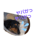 りくタン（個別スタンプ：32）