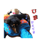りくタン（個別スタンプ：34）