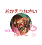 りくタン（個別スタンプ：37）