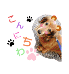 りくタン（個別スタンプ：38）