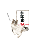 もちもちファミリーのお正月2（個別スタンプ：7）