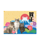 もちもちファミリーのお正月2（個別スタンプ：14）