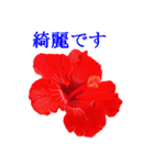花や鳥で会話する（個別スタンプ：2）