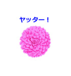 花や鳥で会話する（個別スタンプ：12）