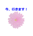 花や鳥で会話する（個別スタンプ：14）