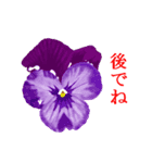 花や鳥で会話する（個別スタンプ：16）