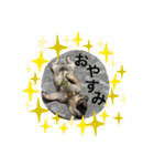 ウチのバット（個別スタンプ：3）
