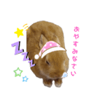 うたピョン（個別スタンプ：3）