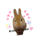 うたピョン（個別スタンプ：4）