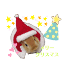 うたピョン（個別スタンプ：6）