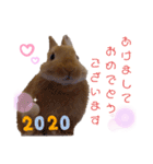 うたピョン（個別スタンプ：12）