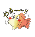 金魚の賑やかスタンプ（個別スタンプ：3）